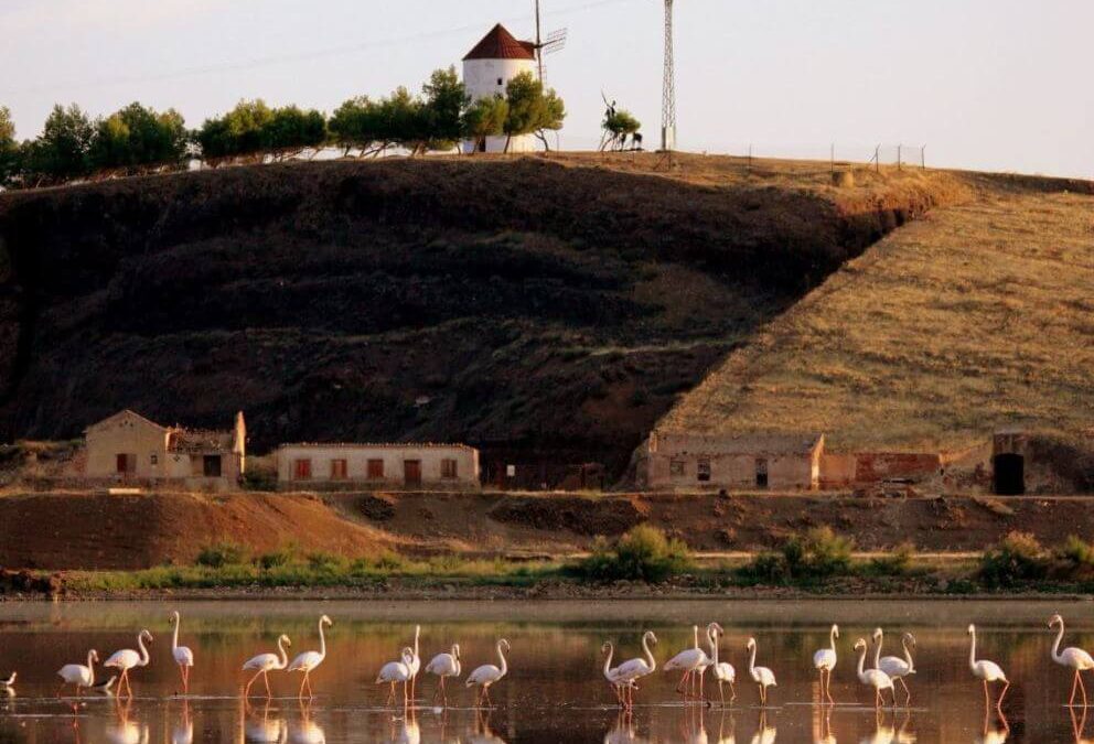 Los 5 lugares que no te puedes perder del Parque Natural de El Valle de Alcudia